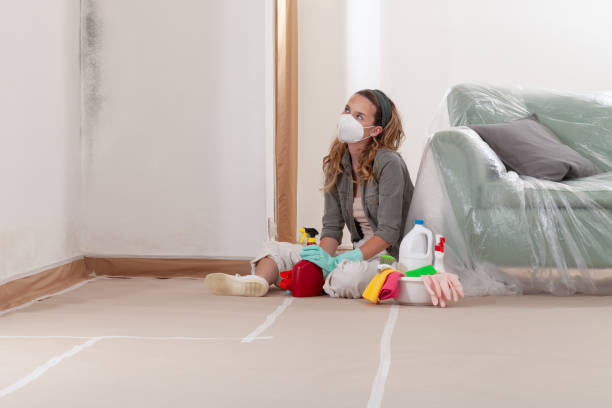 Reliable Mold Remediation contractor in Alma, MI by 24 Hour Mold Removal